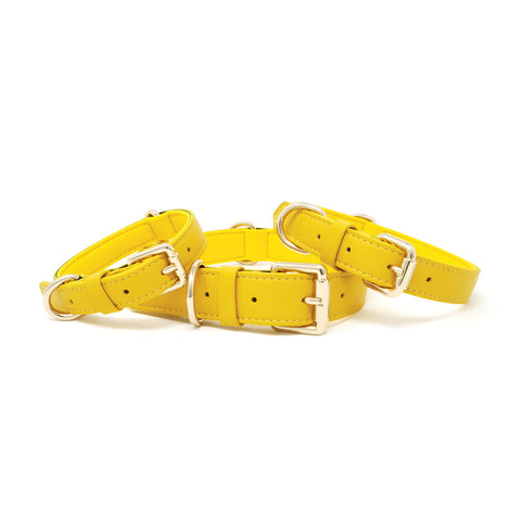 Collar - Bumblebee Yellow