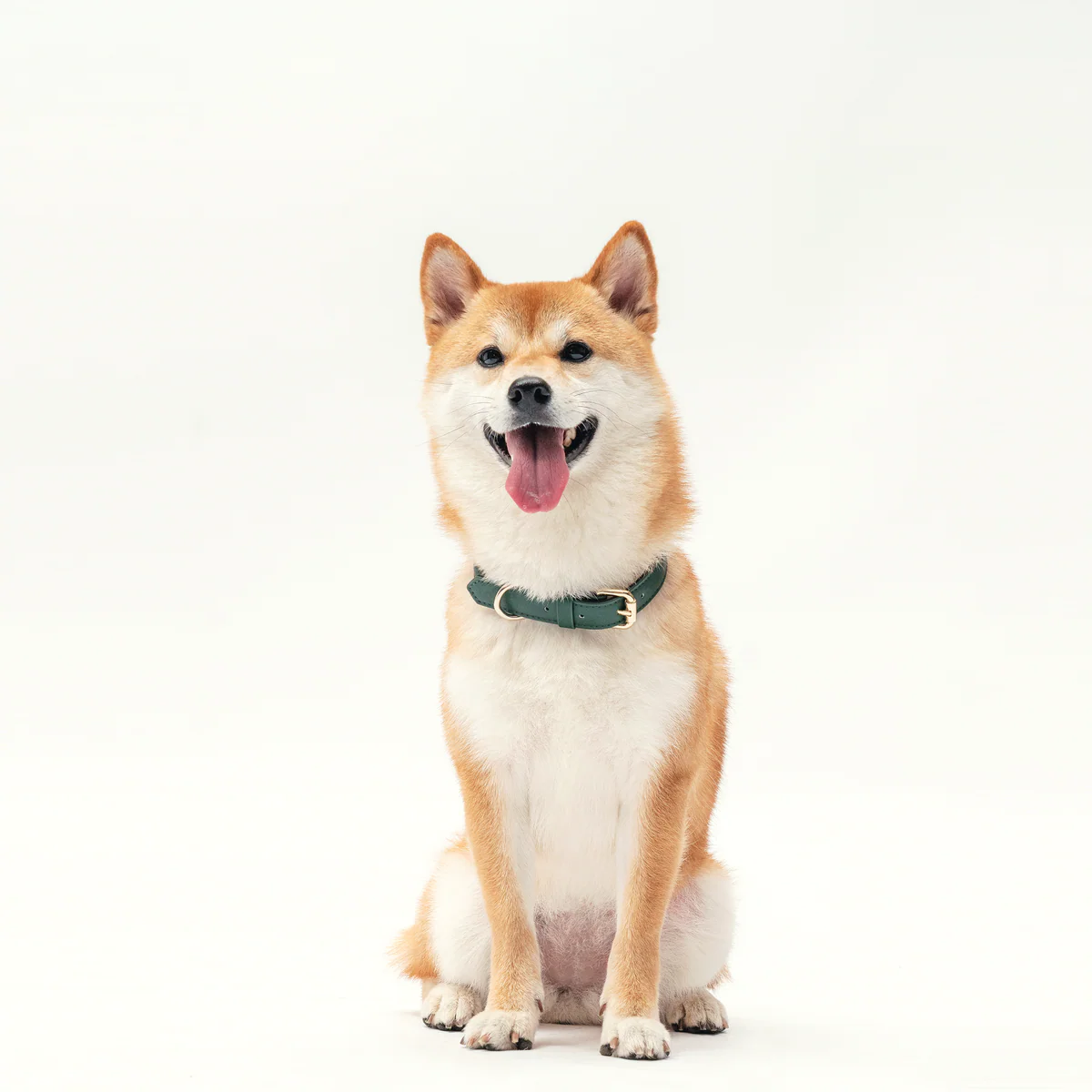 Collar - Forest Green