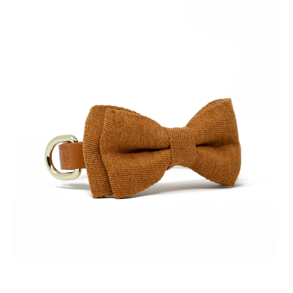 Bow Tie - Tangerine Orange