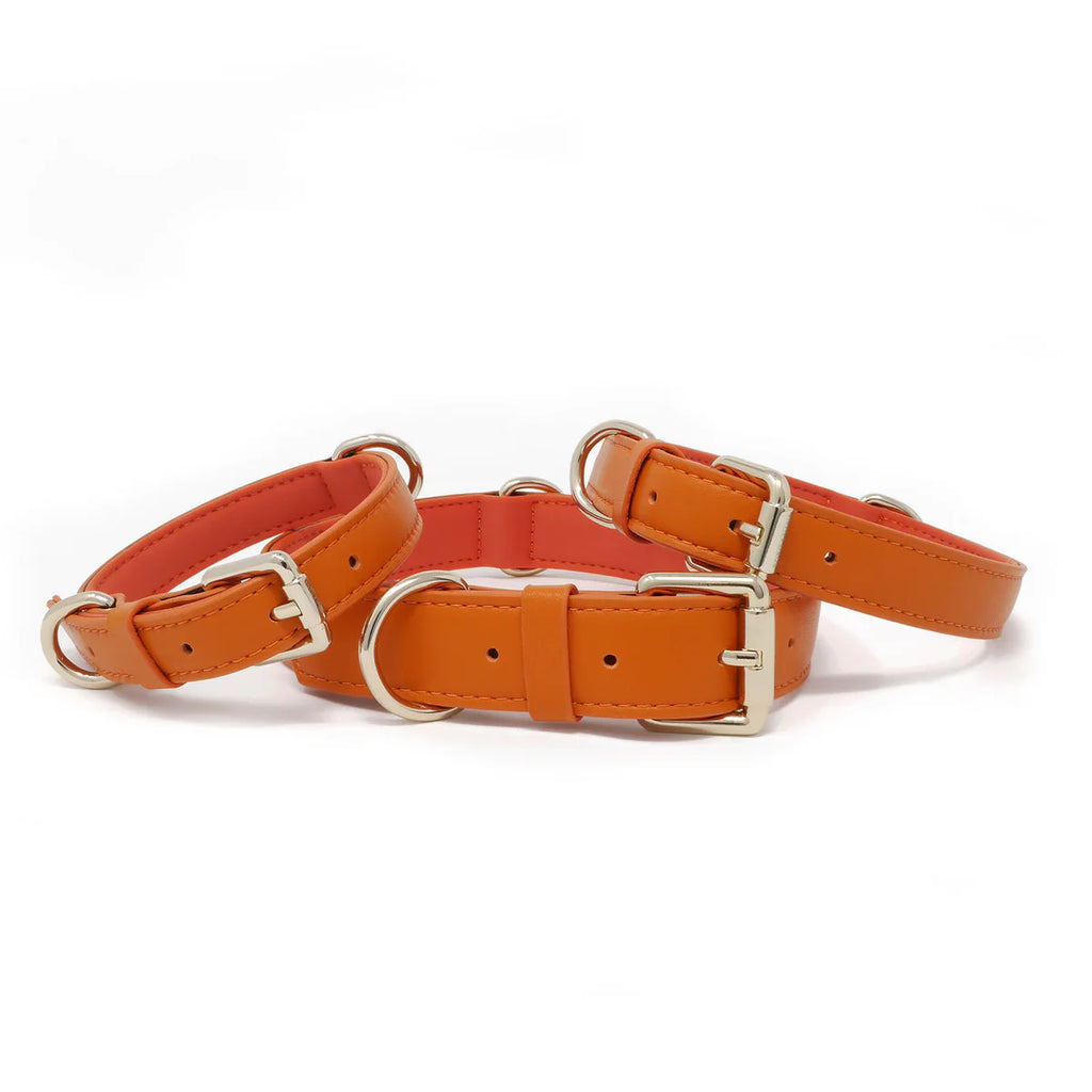 Collar - Tangerine Orange