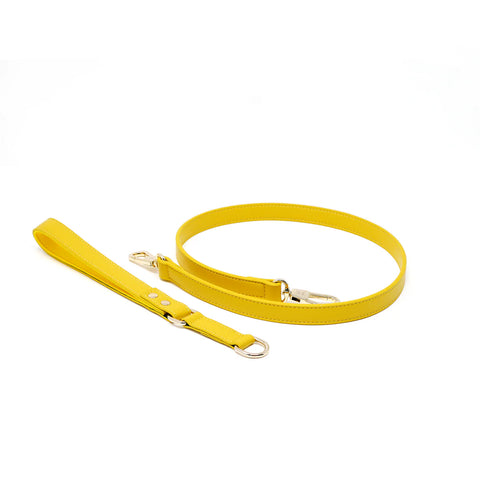Classic Leash - Bumblebee Yellow