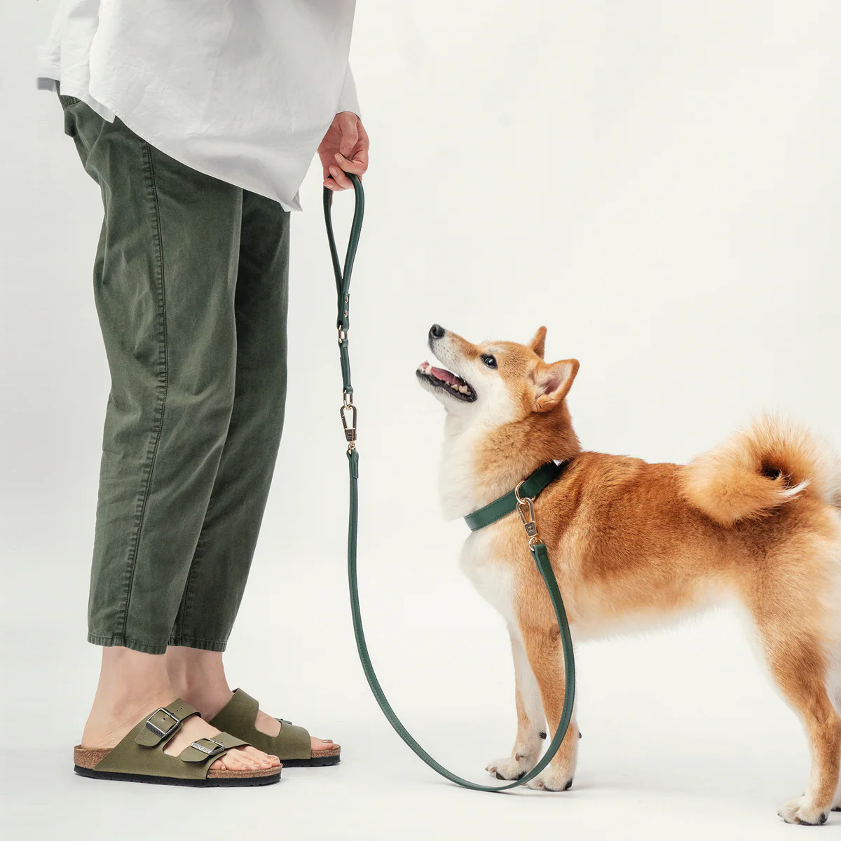 Classic Leash - Forest Green