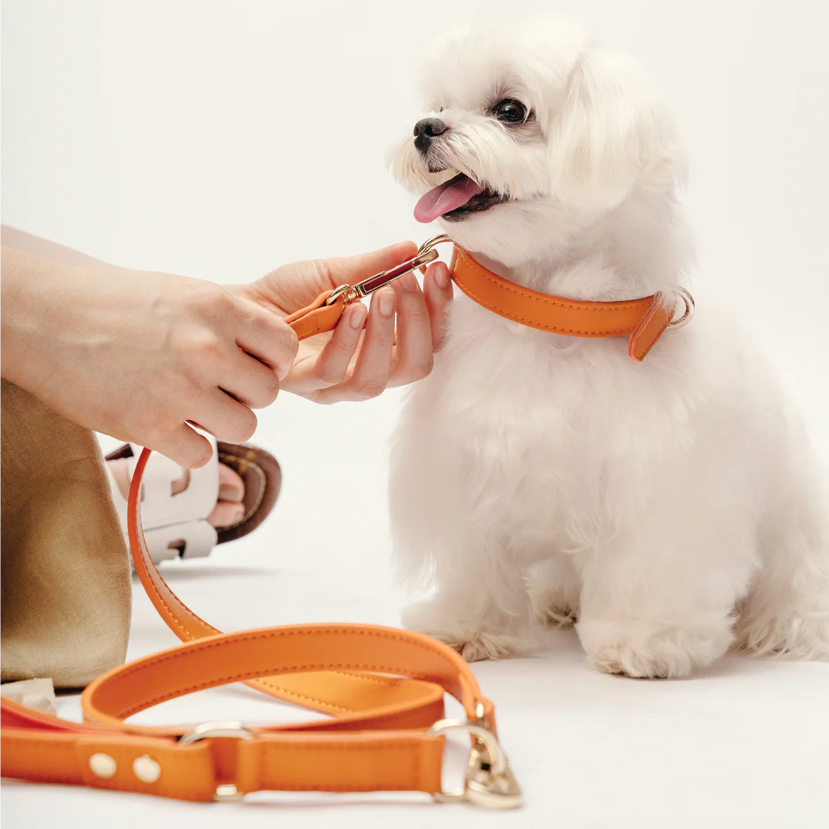 Classic Leash - Tangerine Orange
